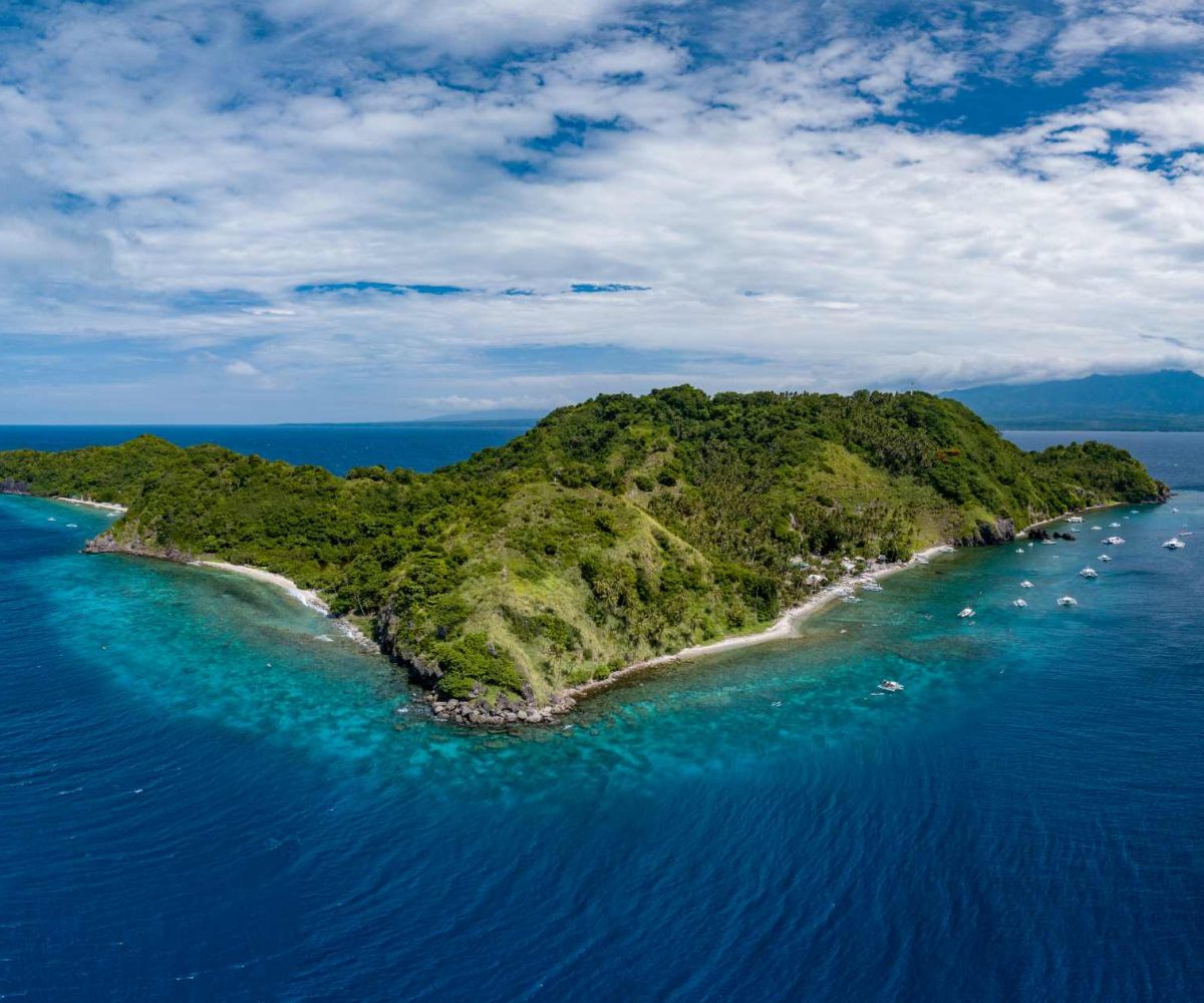 Aerial-33-Apo-Island-resized