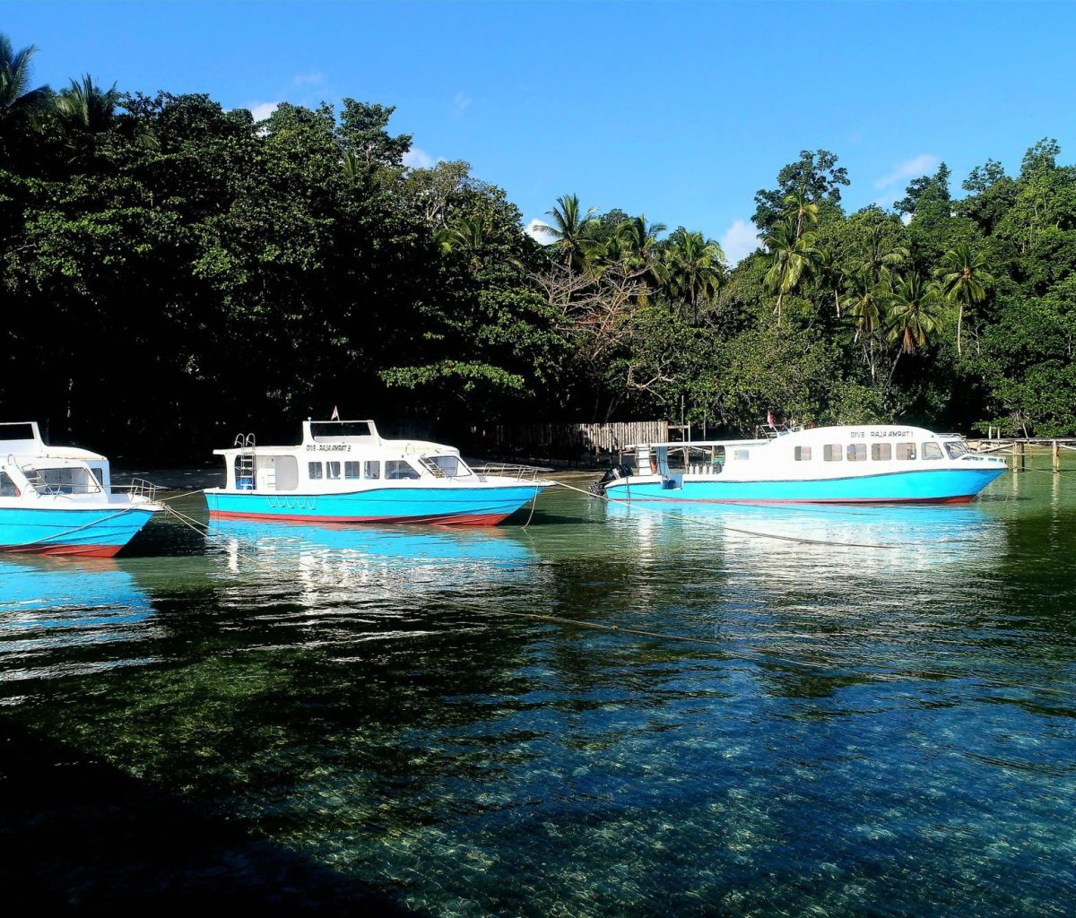 DIRA Boats