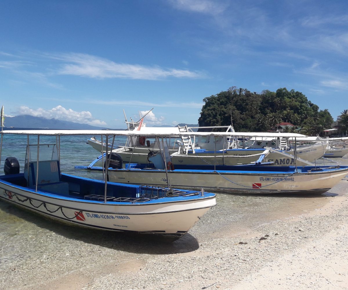 boats-scaled-1.jpg